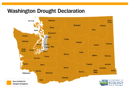 Statewide drought declared due to low snowpack and dry forecast